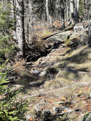 Tamposi Trail in October at Willard Mountain in New Hampshire