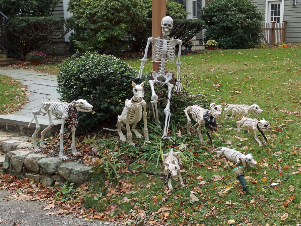 Halloween decoration near Wilson Mountain Reservation in eastern Massachusetts