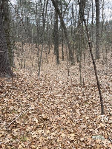 bike trail in November at Wind Mill Hill in southern NH