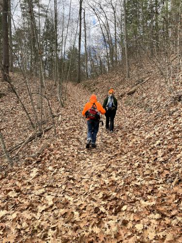 trail in November at Wind Mill Hill in southern NH