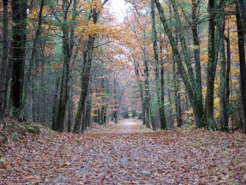 Rocky Pond Road in October on the way to Wolf Den Hill near Leominster MA