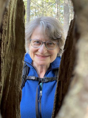 through-tree-trunk photo in May at Wolfe's Neck Woods near Freeport in southern Maine