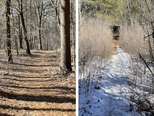 trails in February at Wood Hill in northeast MA