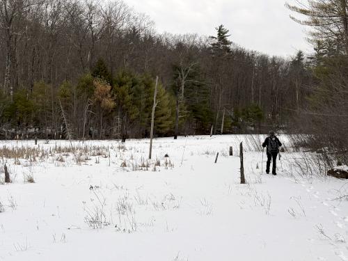 beaver pond in January at Woodbury Hill near Jaffrey in southern NH