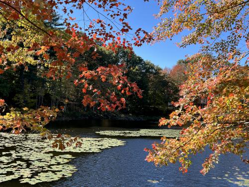 pond in October at Woodlock Trail in southern NH