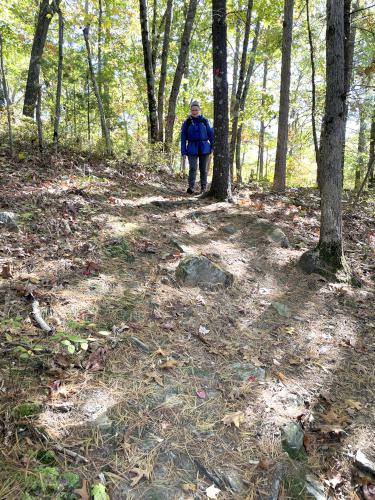 trail in October at Woodlock Trail in southern NH