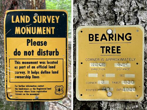 boundary markers near Young Mountain in New Hampshire