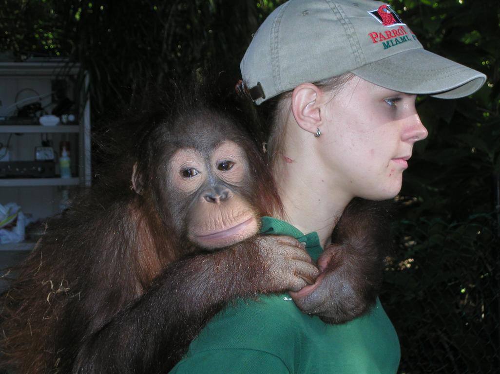 monkey and caretaker near Key West, Florida, in February 2002