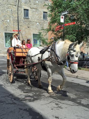 carriage ride at Montreal, Canada