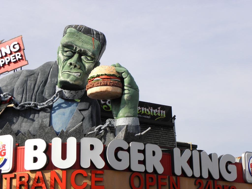 weird sign above a Frankenstein fun house and Burger King restaurant on the Canadian side of Niagara Falls