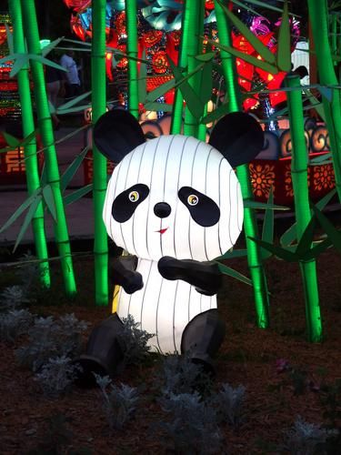 panda in the Zoominations special exhibit at Lowry Park Zoo in Tampa, Florida