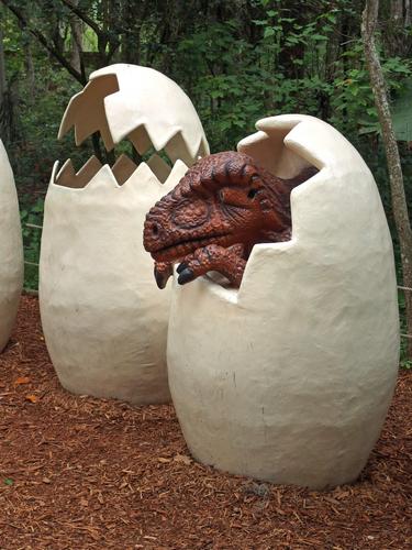 T-Rex hatchlings inside Dinosaur World at Plant City in Florida
