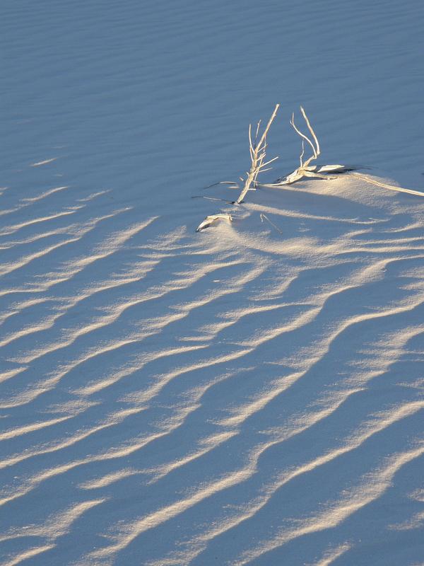 gypsum sand ripples look like ocean waves at White Sands National Monument in New Mexico