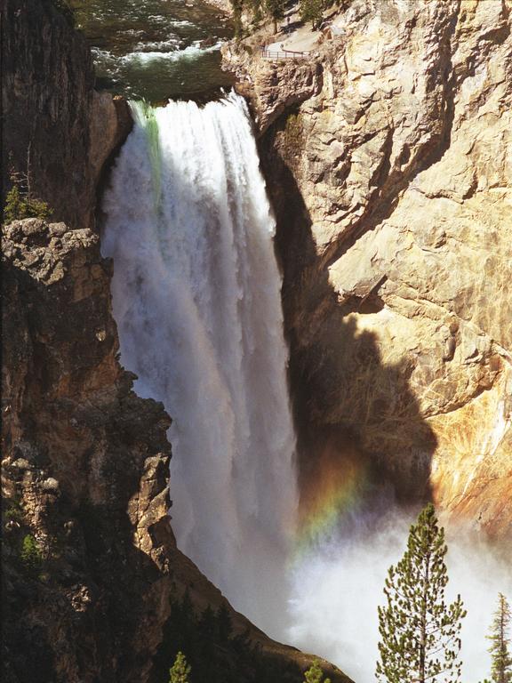 view of Lower Falls from the South Rim at Yellowstone National Park, Wyoming